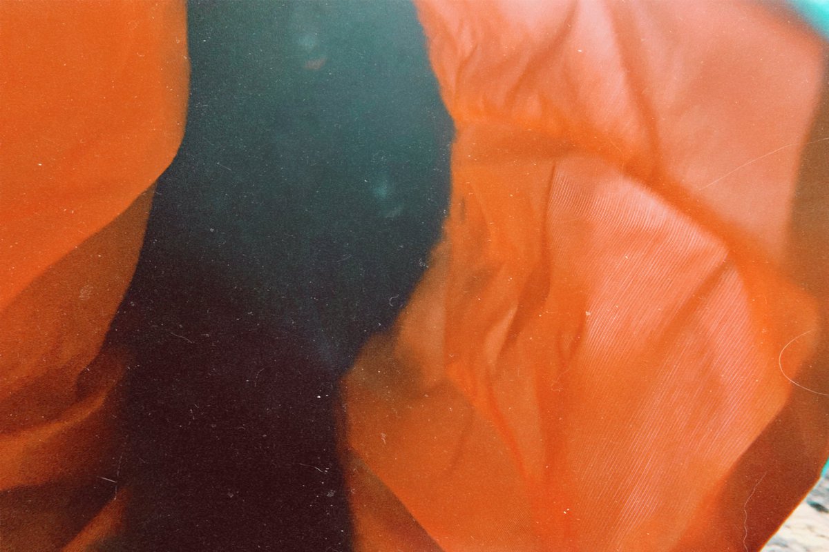 Mitch “I said what I said” 😈 tweet media