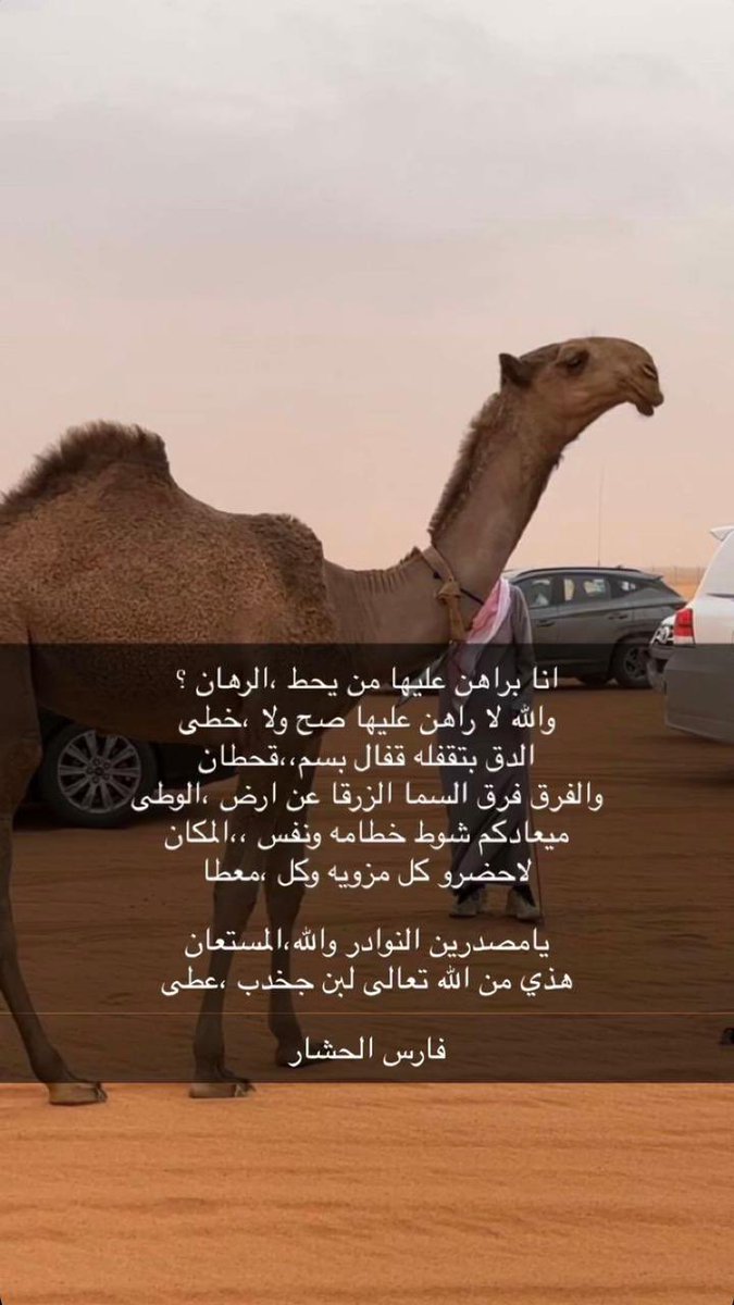 نواف بن فهاد ابن جخدب tweet media