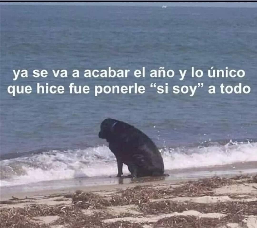 chicadel86's tweet photo. @desselebrada https://t.co/VBia1rcKZ5
