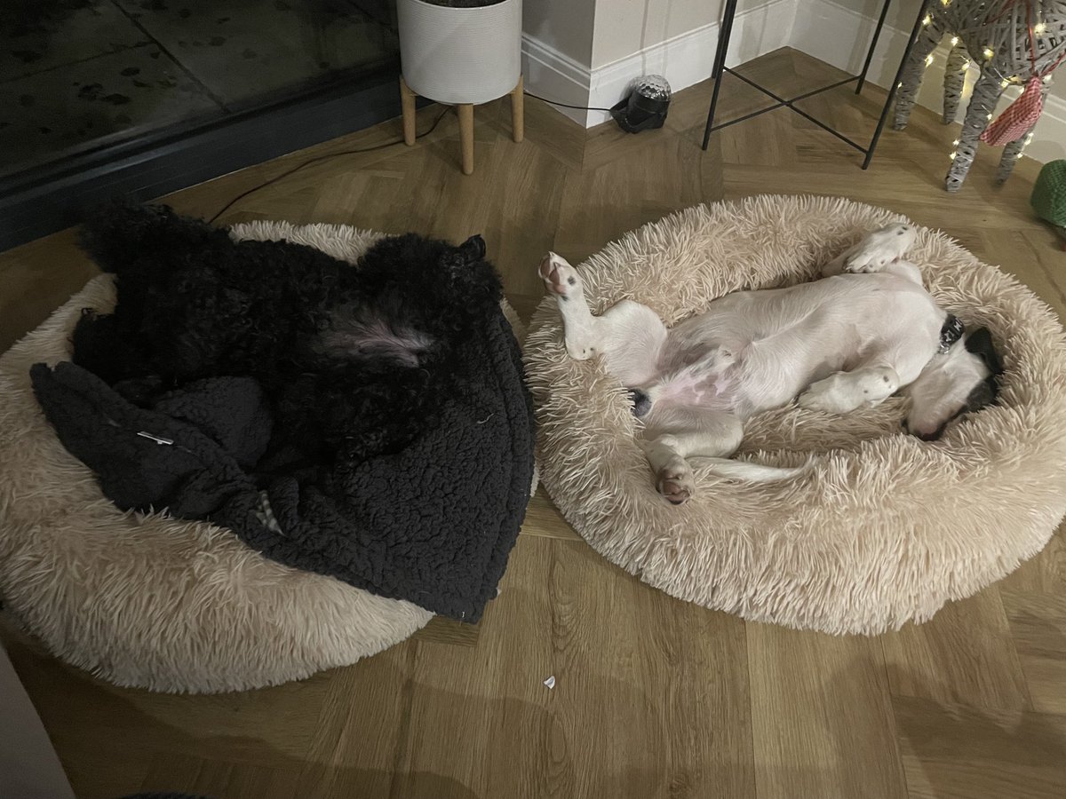That Boxing Day feeling, after far too much food and booze