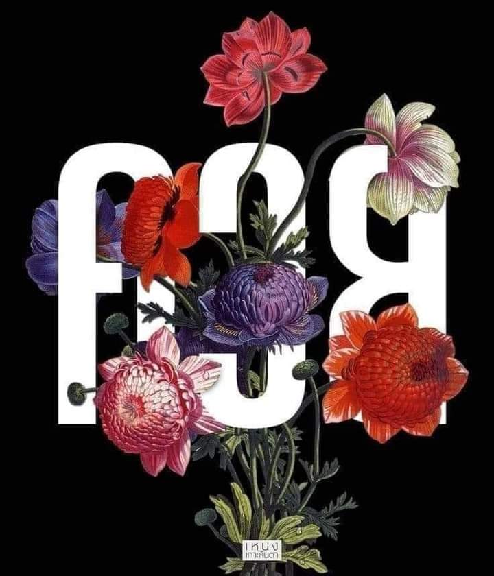 Pasakorn T tweet media