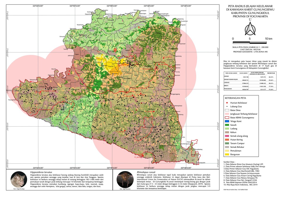 Utk memberikan masukan ke Pemprov DIY, dan jg Pemkab Gunungkidul (GK) yg ingin mengurangi luasan Kawasan Bentang Alam Karst, sy mengumpulkan data2 kelelawar yg telah diidentifikasi LIPI &amp; rekan2 di GK. Sy membuat peta daya jelajahnya agar bisa dihitung nilai jasa lingkungannya