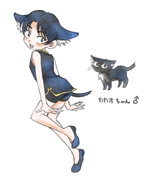 こんな感じ。
(らんま1/2にこんなキャラは存在しません) 