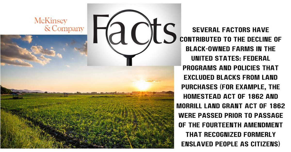 Read the article from McKinsey &amp; Company: Black Farmers in the US: The opportunity for addressing racial disparities in farming. Achieving peer-level economic performance could generate billions in value for the agriculture industry.

mckinsey.com/industries/agr…