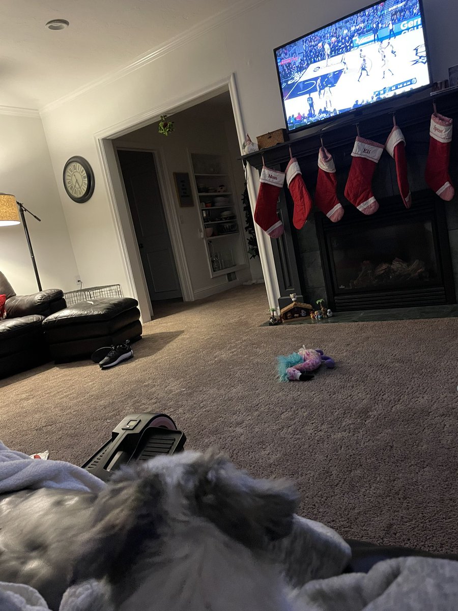 Archie wants a Jazz win! #LesOlsonIT #TakeNote