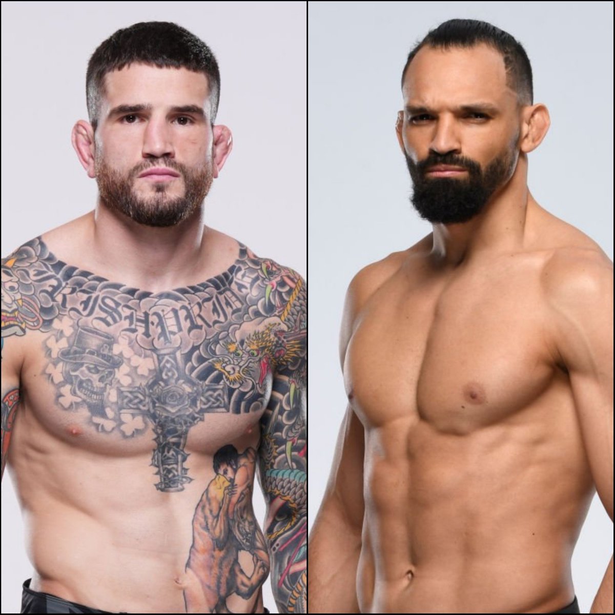 BigMarcel24's tweet photo. Sean Brady will fight Michel Pereira at #UFCSanAntonio on March 25th. (first rep. @DamonMartin) #UFC #MMA #UFCESPN #UFC2023 https://t.co/sxhkkLHzi4