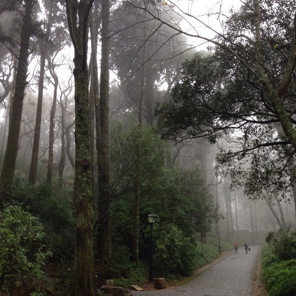 AcademiaAesthe1's tweet photo. Beautiful Sintra, Portugal. https://t.co/5yCU2w5n10