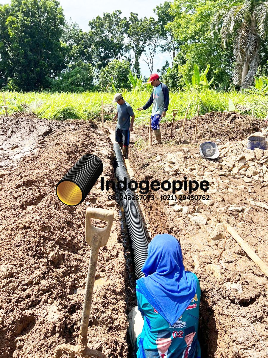 indogeopipe's tweet photo. Pemasangan Pipa HDPE Corrugated Indogeopipe untuk drainase perkebunan. #pipahdpecorrugated #indogeopipe https://t.co/IS9l11swhO