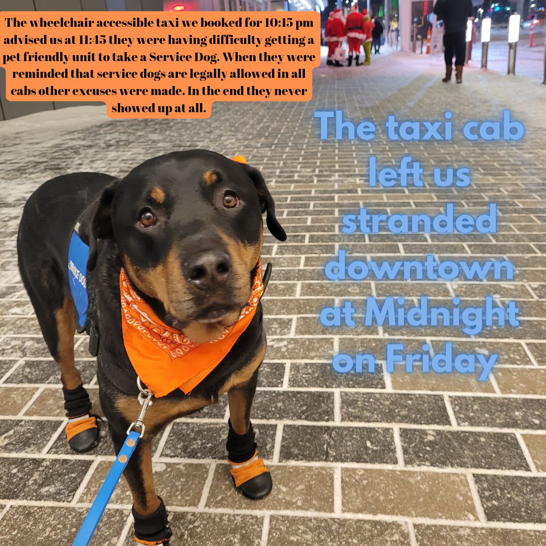 🧵Something scary happened Friday night. We booked an accessible taxi with @Coop_Taxi_YEG  to take us to and from the hockey game. The cab we booked for 10:15 never came. The 1st excuse was that they were having a hard time finding a pet friendly unit for a #ServiceDog.

1/