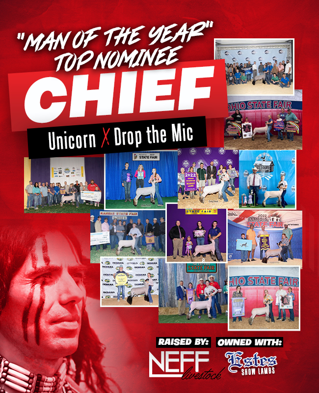 Chief (Unicorn x Drop the Mic) - Bred by Neff, Owned with Estes - a top nominee for Man of the Year. Vote at championdrive.com