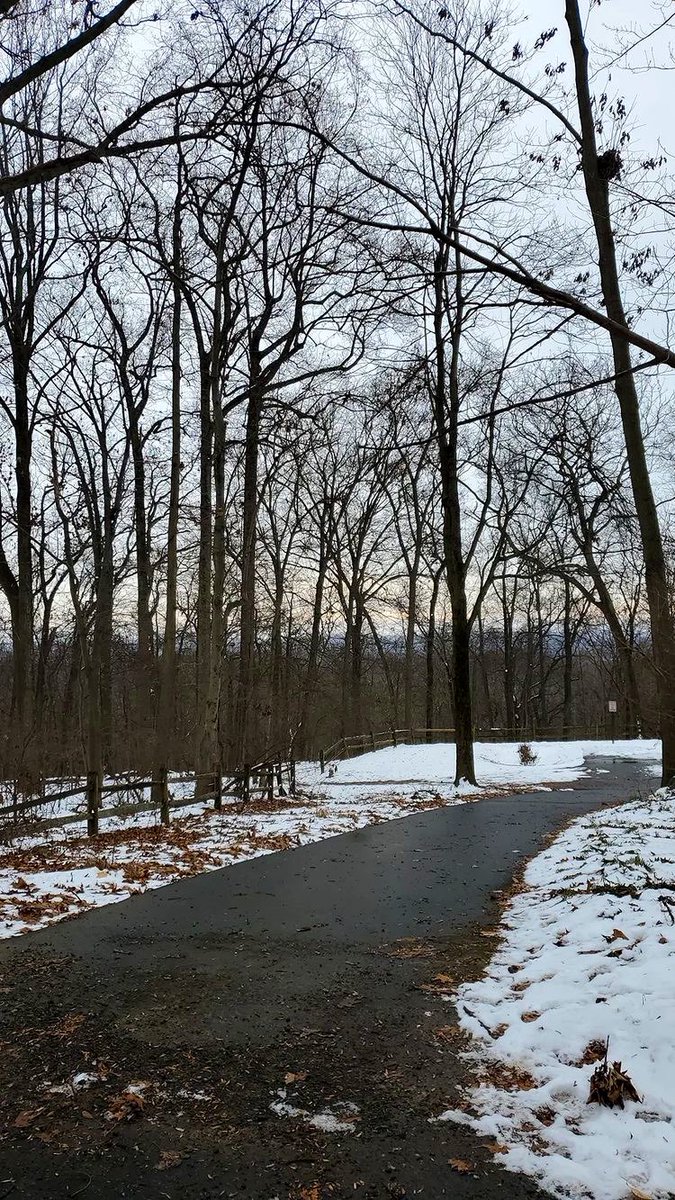 ArtAlliances's tweet photo. A walk through winter ❄️🤍
#winter #wintereffect #naturephotography https://t.co/sOZkvtEcKM