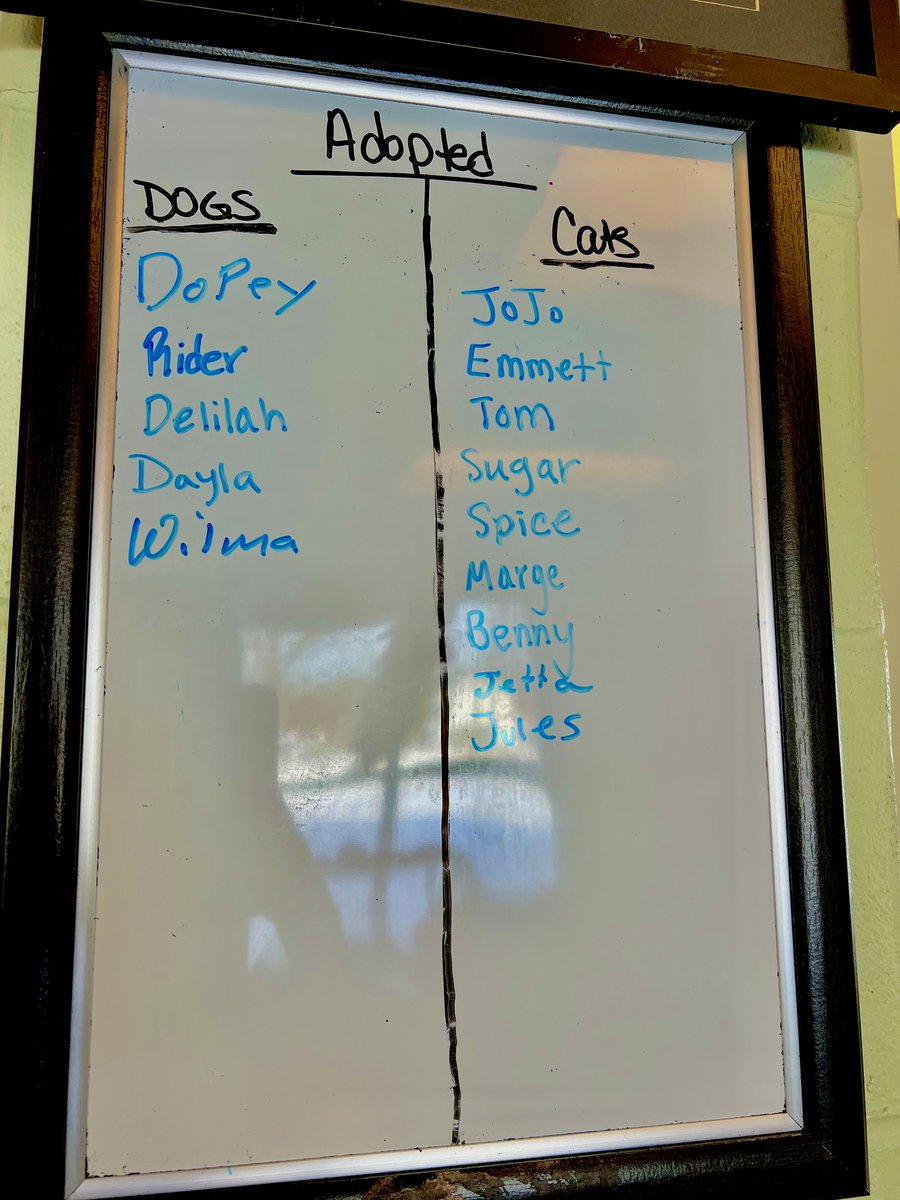 spcaswmich's tweet photo. Our adoptions from last week! Happy Tails! https://t.co/fUichZmi6H