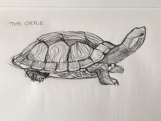 ortle and co. 