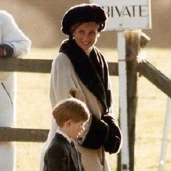 Acerina on Twitter "“6 January 1991 Princess Diana and Prince Harry