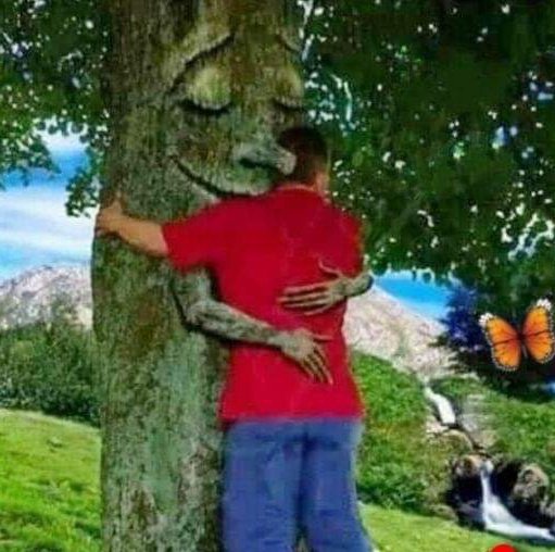 ruben_corella's tweet photo. #embrace #embraces #embraceme #sweet #arbol #arboles #kindness #BeKindAlways #bekind #ecology #abrazo #abrazos #hug #hugs #NaturePhotography #FelizNavidad #MerryChristmas #friend #bestfriend #amigo #familia #hello.#outdoors #loveislove https://t.co/wbRkLMnWMO