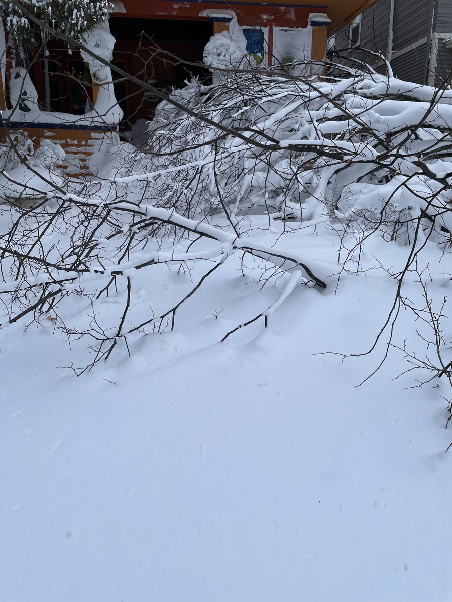 danangrunner's tweet image. From the Parkside neighborhood, Buffalo, NY. Any idea when forestry might get the tree off my house and car? Not like I am going anywhere but...