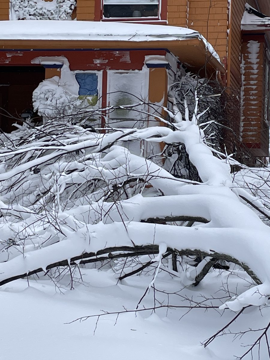 danangrunner's tweet image. From the Parkside neighborhood, Buffalo, NY. Any idea when forestry might get the tree off my house and car? Not like I am going anywhere but...