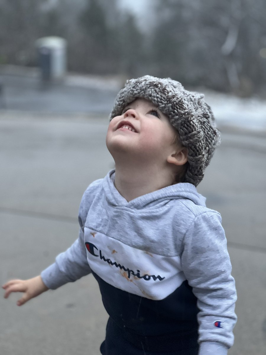 Trevor Mitchell tweet media