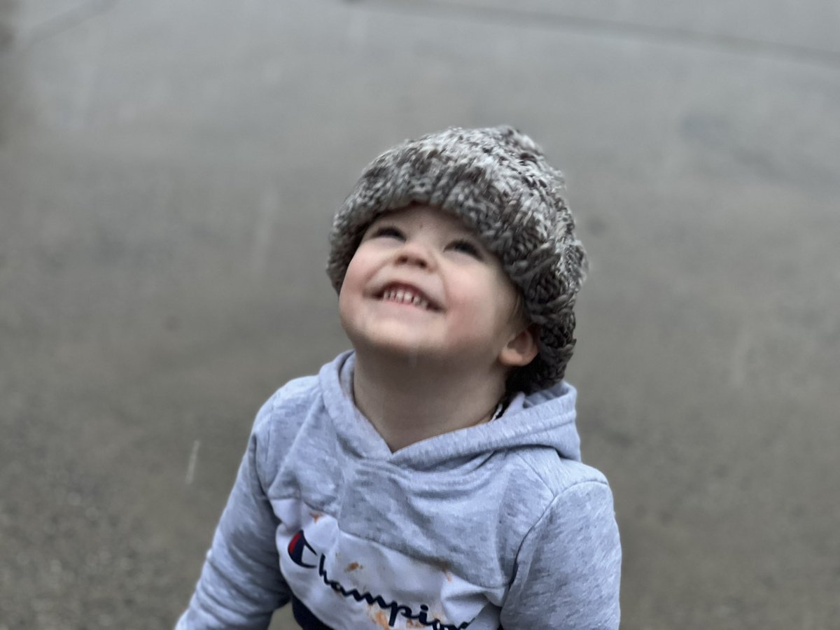 Trevor Mitchell tweet media