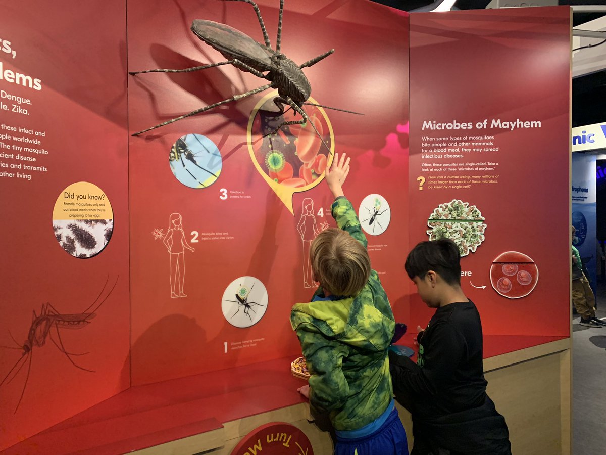 LambClubBlvd's tweet photo. We had so much fun visiting Morehead Planetarium back in November! We got to see a Magic Tree House show, learn about the solar system, and explore their interactive exhibits. @moreheadplanet https://t.co/bDpivKBk2f