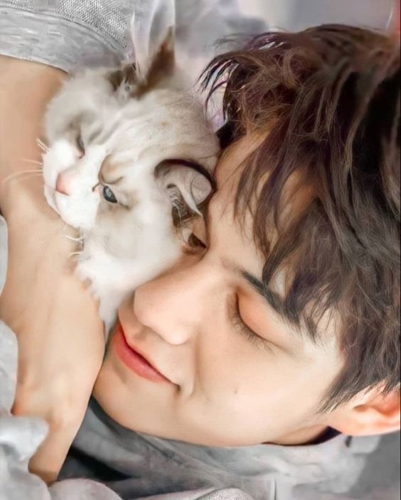 creamshadow_'s tweet photo. ☆ 𝘐 𝘥𝘰𝘯'𝘵 𝘯𝘦𝘦𝘥 𝘵𝘰 𝘴𝘦𝘦 𝘵𝘩𝘦 𝘰𝘵𝘩𝘦𝘳 𝘴𝘪𝘥𝘦, 𝙛𝙖𝙢𝙞𝙡𝙮 𝙩𝙝𝙚 𝙛𝙞𝙧𝙨𝙩. ☆ https://t.co/Nm30AwYstD