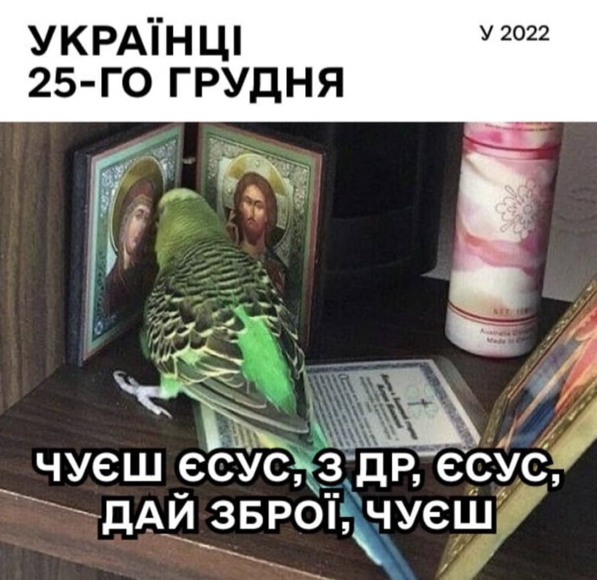 miss_kokh's tweet photo. РЖУ ПІЗДА https://t.co/ZPwi6ZeLDR
