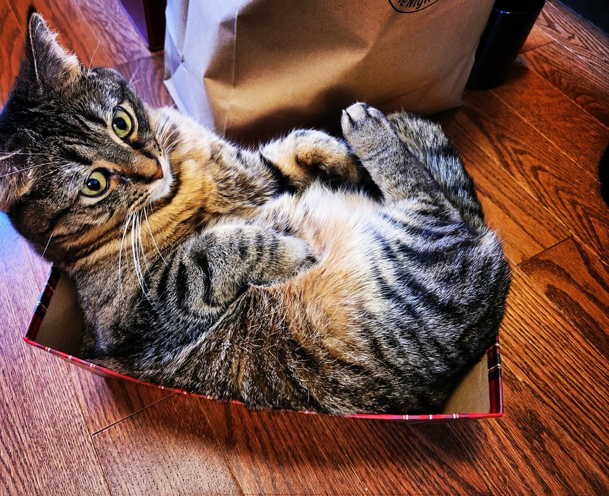 Surly.canuck tweet media