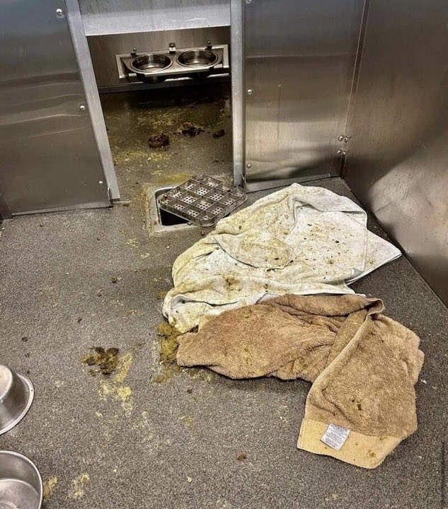 ⁦<a href="/FranklinCoDog/">Franklin County Dog Shelter & Adoption Center</a>⁩ what is happening at the shelter for these conditions exist?