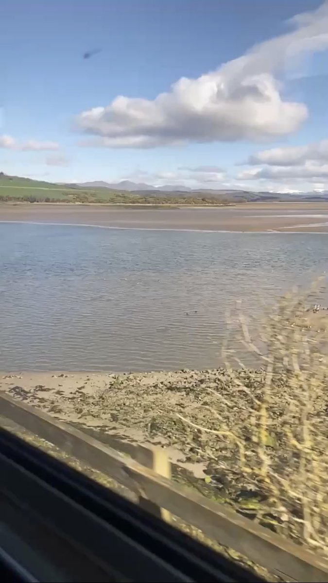 Cam Tra(i)ns tweet media