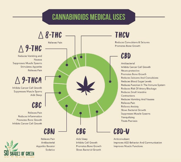 🍃 Which THC is 'The Best' -  Delta 8 or Delta 9? Depends on you...

50shadesofgreen.com/2022/12/23/whi…

#CBDProduct #FarmBill #CBDEdibles #Delta8 #CannabisLegal #CannabisCommunity #NatureHeals #NatureHelps  #CBDGifts #cbdBenefits #50ShadesofGreen #Indica #Strains #420Life #CBDSales