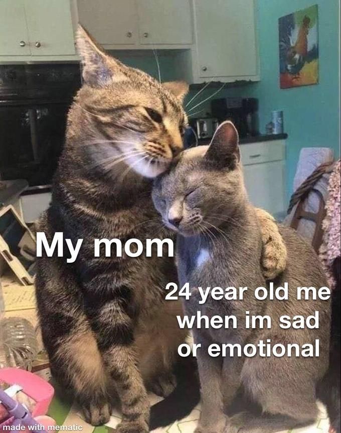 WholesomeMeme's tweet photo. https://t.co/7eaiMSDRwH