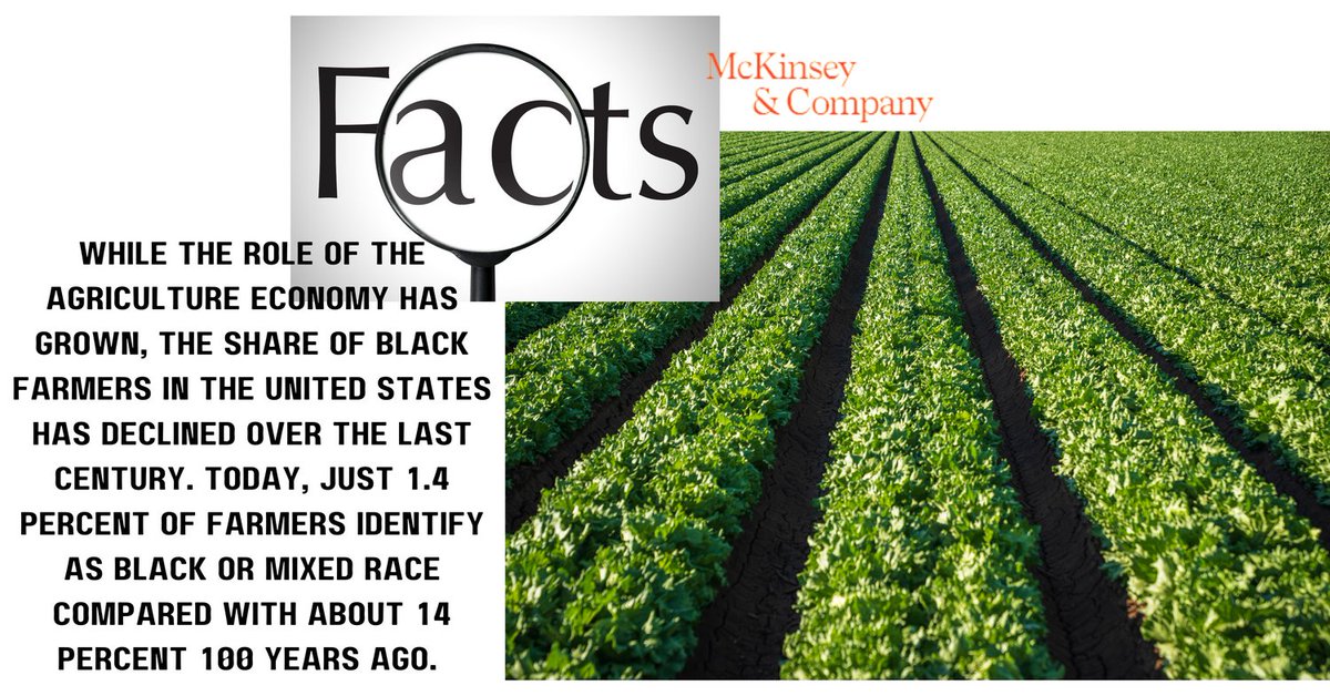Read the article from McKinsey &amp; Company: Black Farmers in the US: The opportunity for addressing racial disparities in farming. Achieving peer-level economic performance could generate billions in value for the agriculture industry.

mckinsey.com/industries/agr…