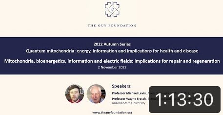 1LEOOEL1's tweet photo. ‘
Professor Michael Levin, Prof. Frasch 
(2022)
Mitochondria, #BioEnergetics,
information,⚡️#Electric_Fields
‘
https://t.co/nN73xYcJES
[
Thank you Dr. Levin,
For bringing to the forefront that
Life
is a #Bio_Software &amp; #Bio_Hardware
#Electrical_Engineering problem
to be Solved.
] https://t.co/RqlsK9f4OV