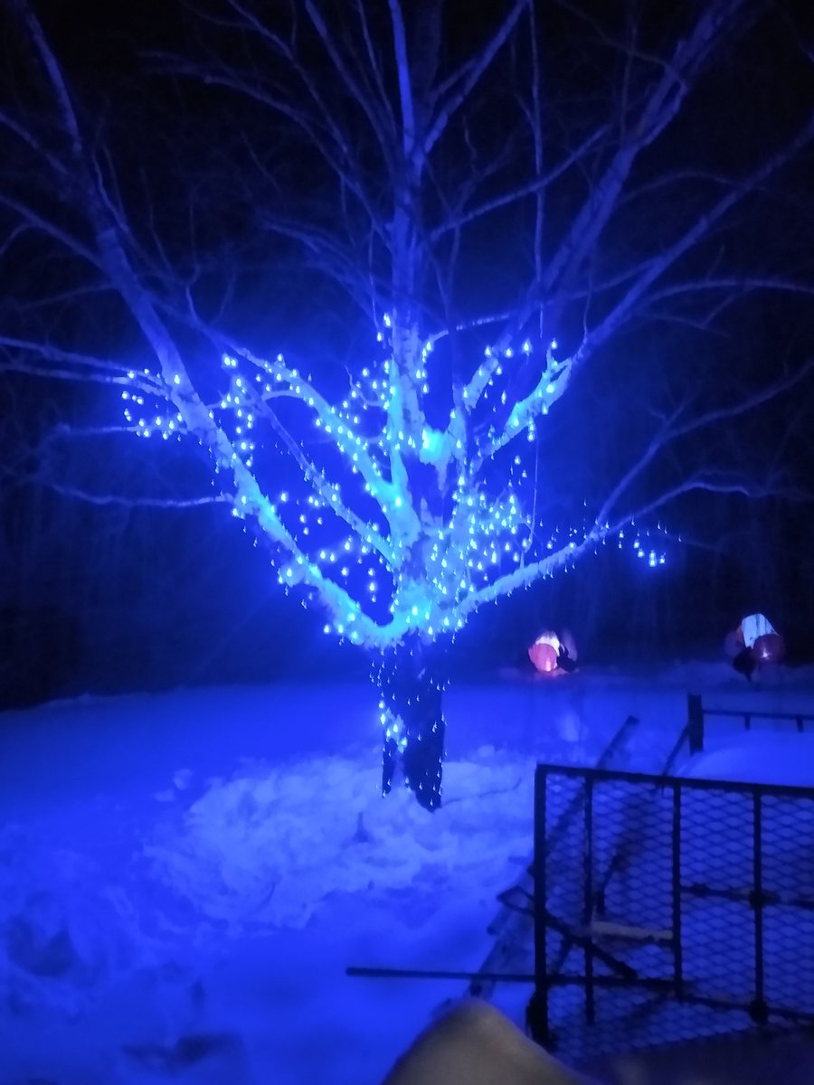 Mother Nature kept us from finishing our plans to hang lights this year.

Tonight, we said, "Screw it," and finished our willow tree anyway.

It is what you make it.