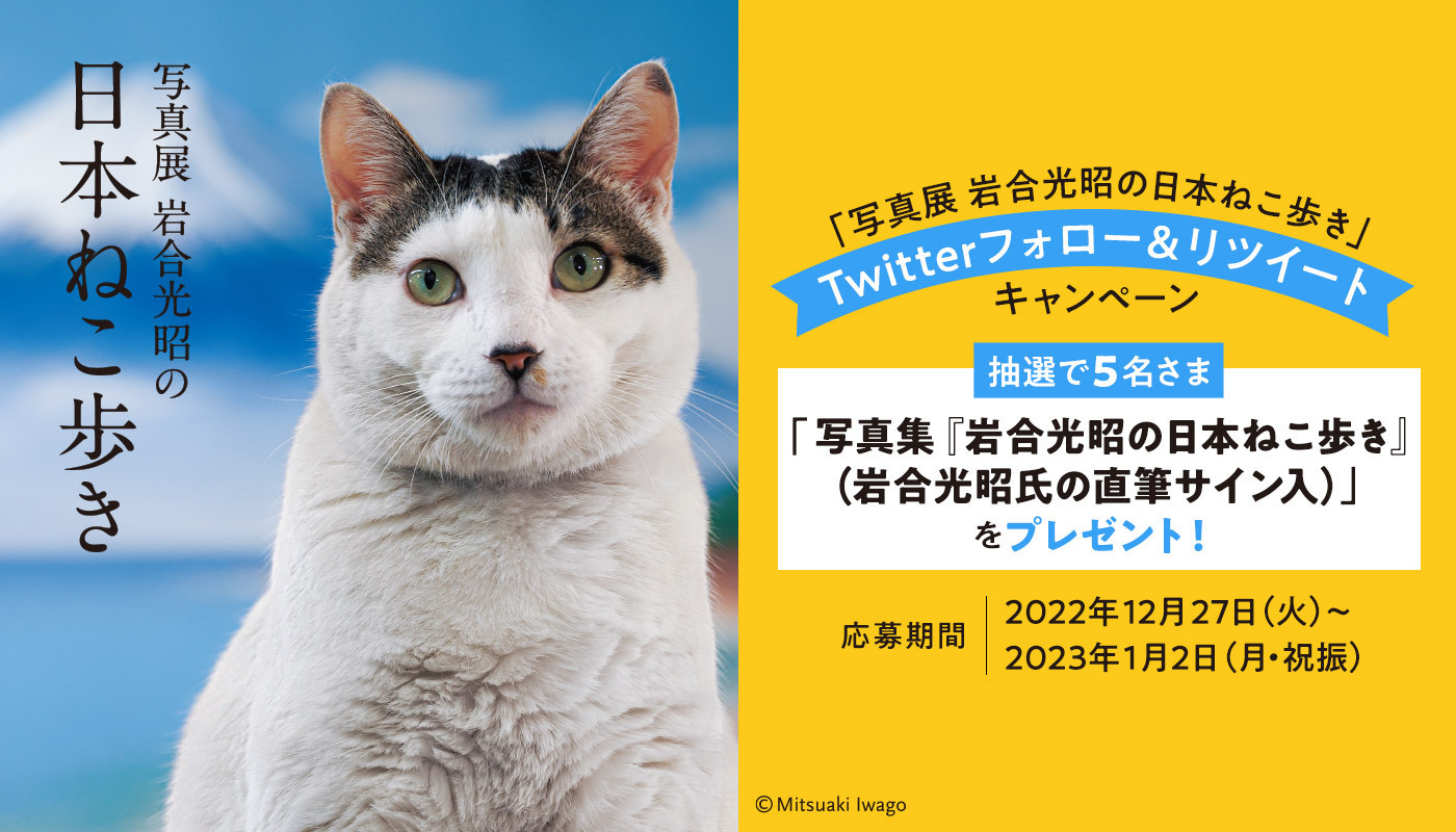 岩合光昭　ねこ歩き展　サイン入り額装写真　猫　犬　写真 岩合光昭 ねこ歩き展 サイン入り額装写真 猫 犬 写真 - メルカリ