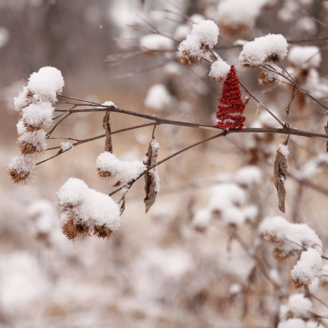 LadyKatieBlogs's tweet photo. It's cold outside. https://t.co/z0mU4KjC7M