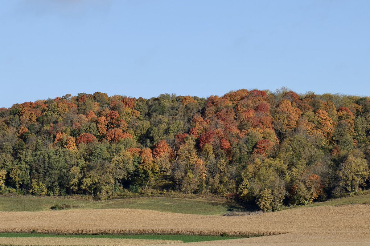 MaryGemignani's tweet photo. Happy Boxing Day to all who celebrate. I am currently at #restfest this week enjoying a week off work. Trying to catch up on a few things that never seem to get done.
Haven’t gotten out to celebrate the new snow yet, but here’s an Autumn pic from mid-October in WI. https://t.co/UmHZq3GYVp