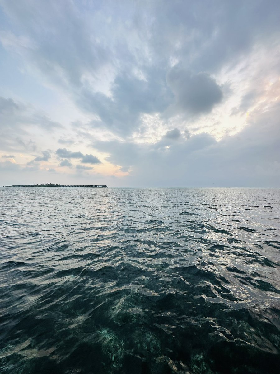 KocharMaddy's tweet photo. Spellbound in the Maldives #coralisland #coral #Maldives #photographylovers #photographers #NaturePhotography https://t.co/u2IDq0Aie8