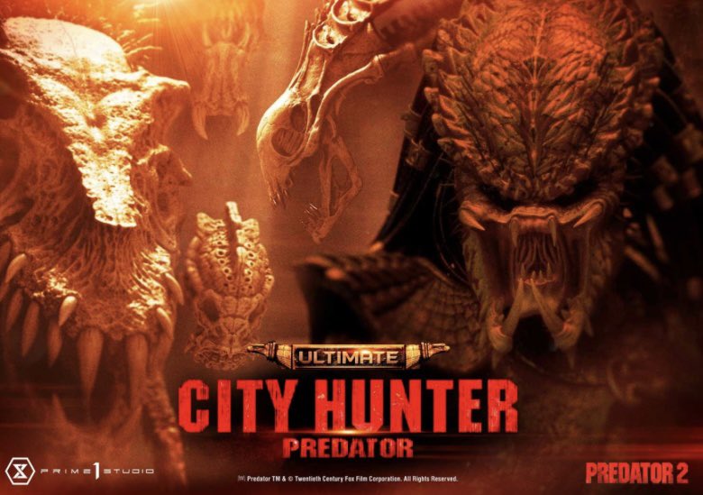 Gwyn Campbell tweet media