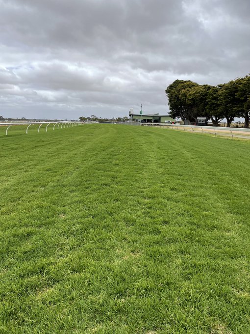 south_tips's tweet photo. 28/12/22 and hopefully some winning returns, R1,#FlyTheLine, R2, #BonjourBlue R3, #Soames R4, #Seeyoulaternow, R5 #EntitledPrincess, R6 #YoungLars, R7 #Flyway photo credit https://t.co/B3gB5QaSyK @StrathalbynClub @AsjSmithy @CountryRacingSA @craiglewis_4 
Merry Christmas &amp; HNY https://t.co/RwmzdM98me