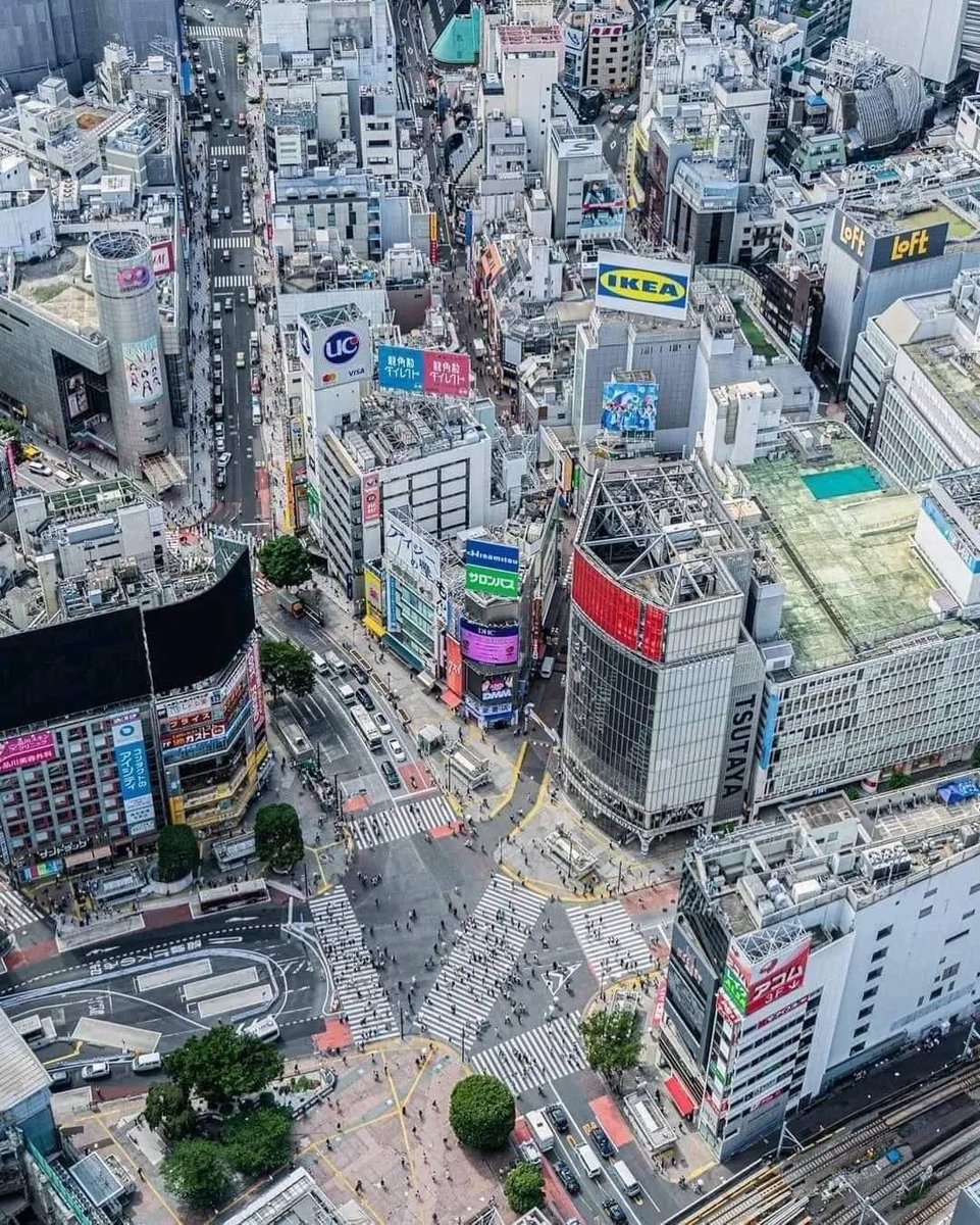 EagleFree87's tweet photo. Tokyo, Japan 🇯🇵 

#Japan #Tokyo #Beautiful #Love #GoodPlaceToLive https://t.co/UDUI7jE5hO