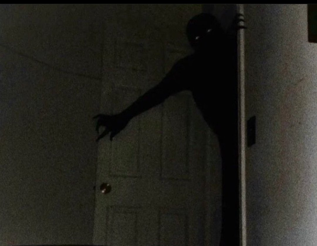 Daniel Gould, MD, PhD tweet media