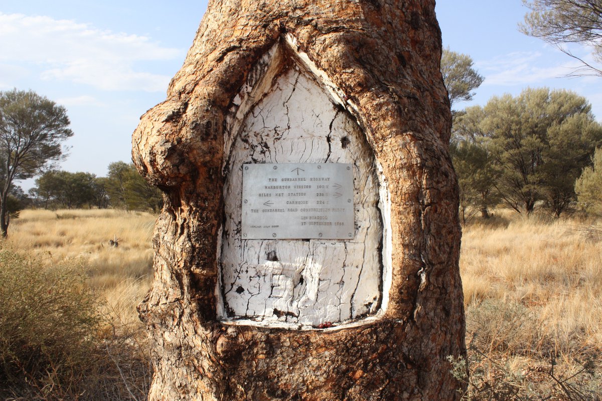 outbackyonder's tweet photo. Len Beadell's tree on the Gunbarrel Highway.
The Gunbarrel is now a popular 4WD destination.
#beadell #outbackyonder #gunbarrelhighway https://t.co/nUyOmARzNt