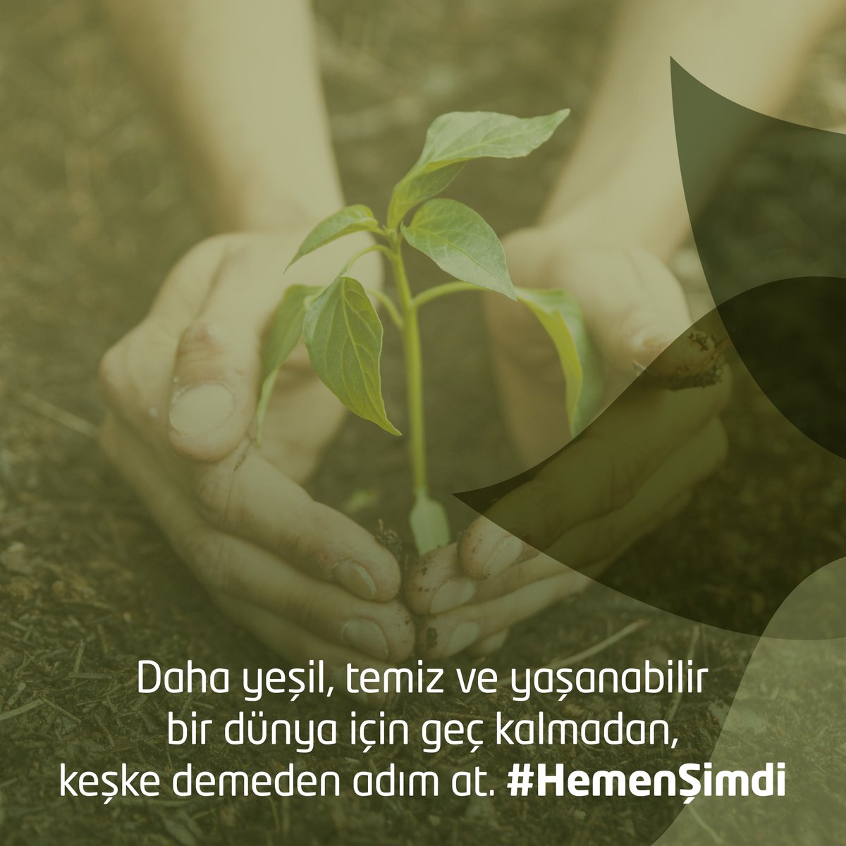 🍃 Daha yeşil, temiz ve yaşanabilir bir dünya için geç kalmadan, keşke demeden adım at. #HemenŞimdi