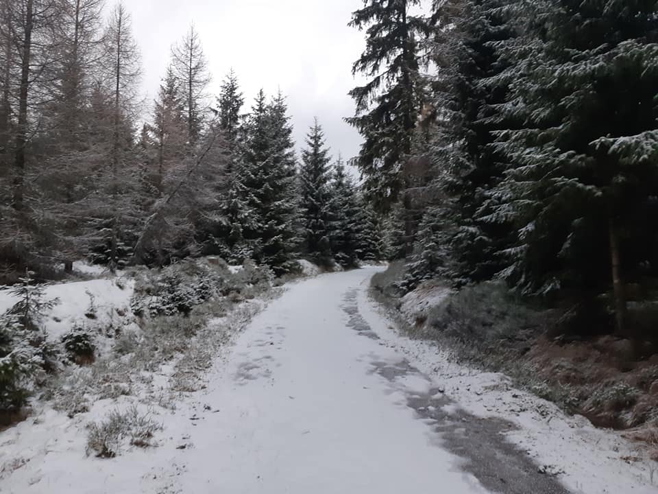 Mróz i padający śnieg. Trasy przykryła jego cienka warstwa Foto poranne. <a href="/Skipol_pl/">Skipol.pl</a> <a href="/biegowki24/">biegowki24.pl</a> <a href="/wyborczawroclaw/">Wyborcza.pl Wrocław</a> <a href="/JakubGuder/">Jakub Guder</a>