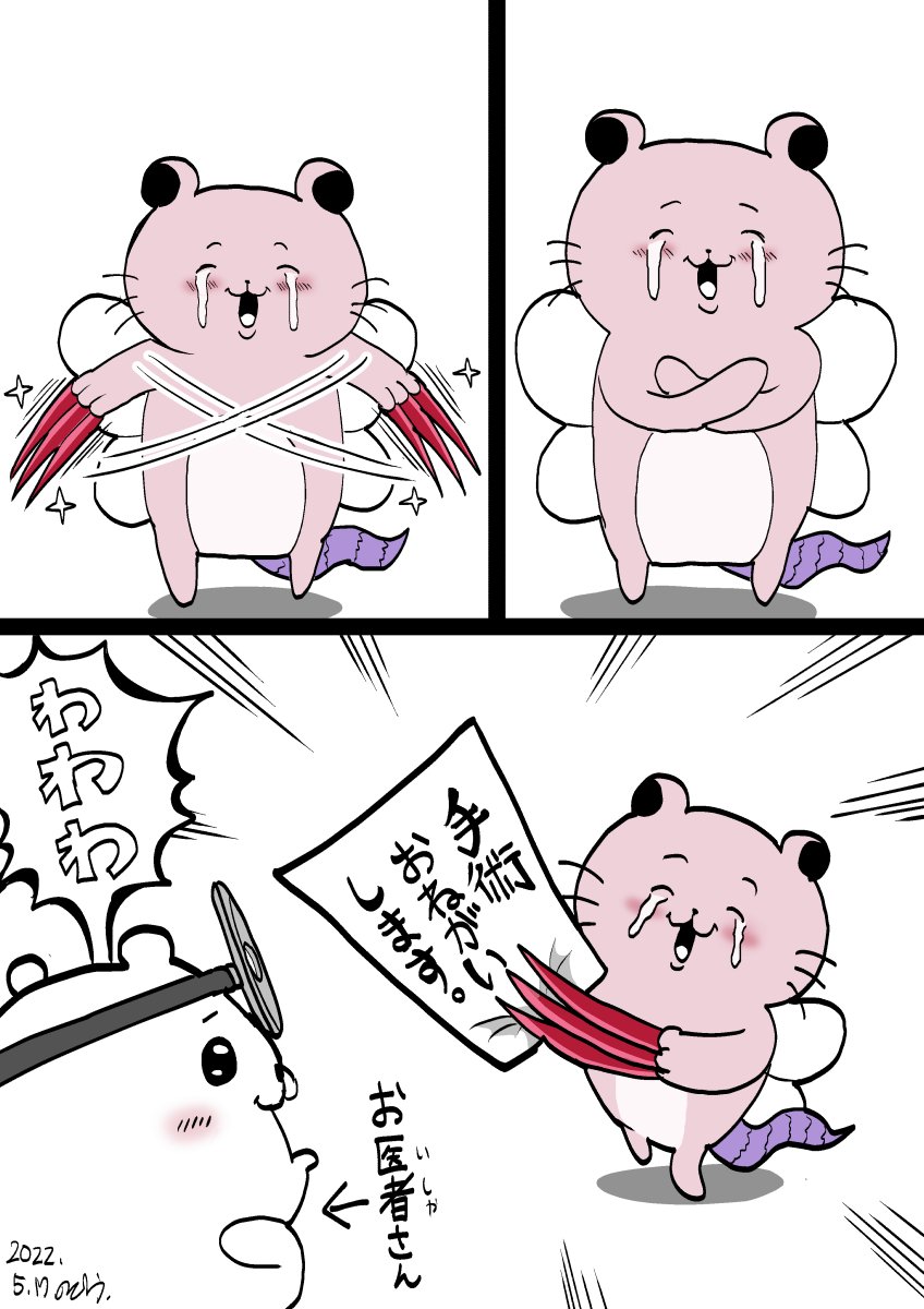 #今年も残りわずかなのでお気に入りの4枚を貼る 
無殺真拳と白内障手術 