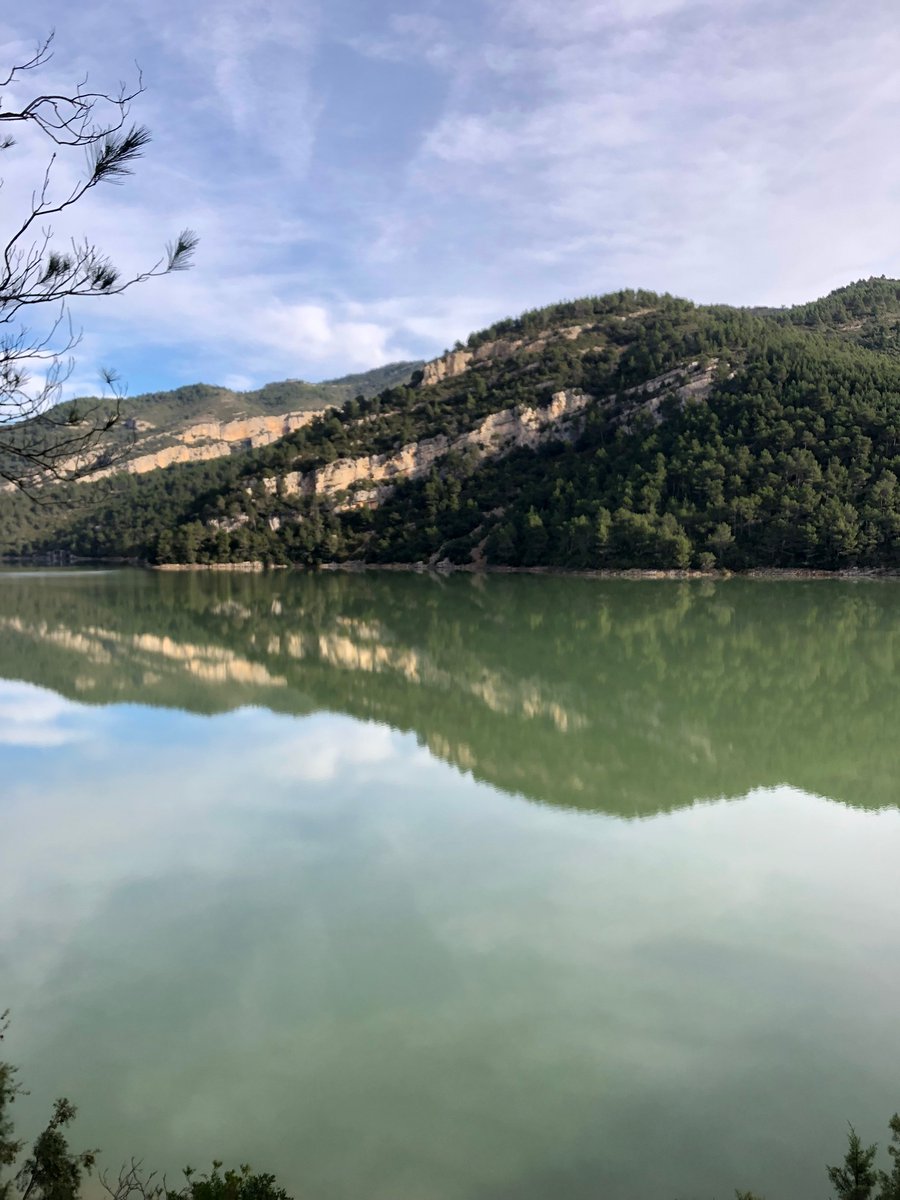 Descansar, respirar i sentir no són només la nostra premisa de Les Capçades. També ho és de la natura de la Terra Alta. 😌🌳💚 hotellescapcades.com #HotelLesCapcades #hortadesantjoan #terraalta #ruralterraalta #catalunyaexperience