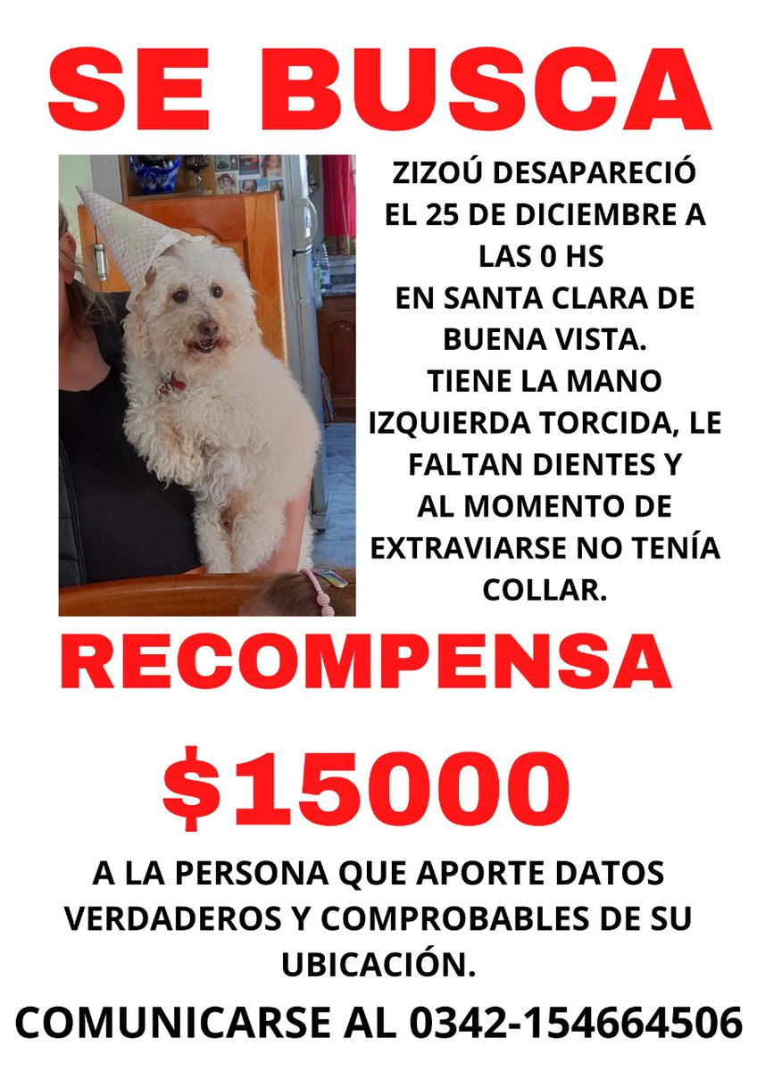 emivag's tweet photo. Por favor, compartir! Perro macho de 11 años! https://t.co/gX1RUHxdRm
