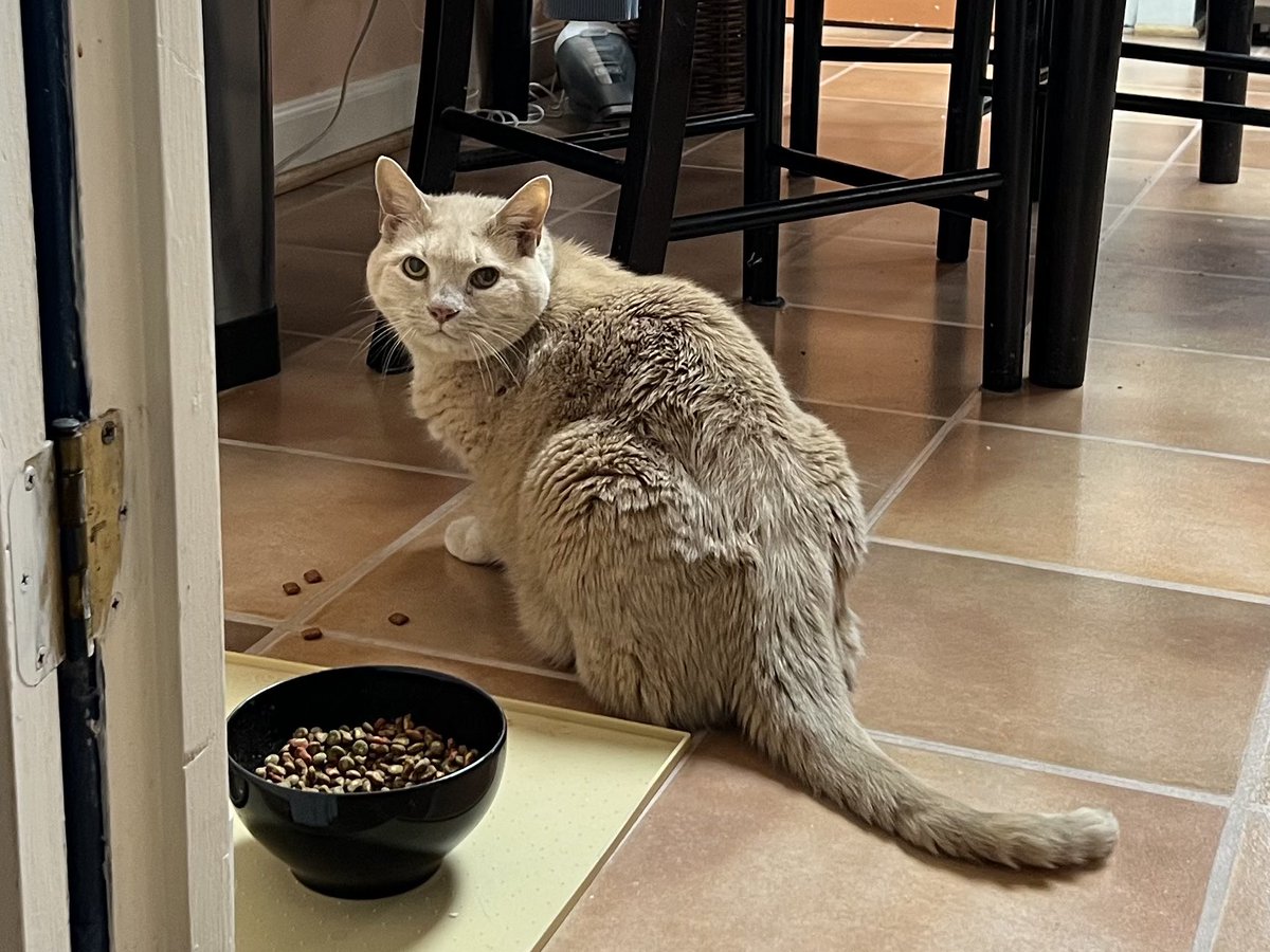 I’d like to report a Teapot sighting at chez <a href="/artologica/">Michele Banks</a>