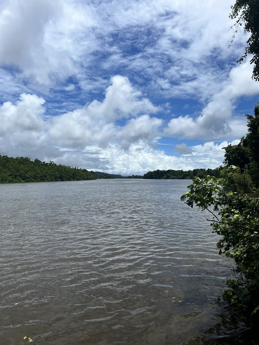 Avatar5991's tweet photo. Went on a one-hour crocodile cruise in the morning. Was nice and beautiful while I also got to see one baby crocodile! #cairns #queensland #farnorthqueensland #daintree #daintreerainforest #exploretnq #explorecairns #thisisqueensland #cairnstourism https://t.co/qZOfWz4gvC